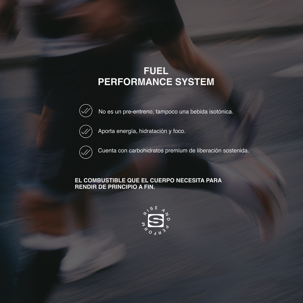 Fuel Performance System